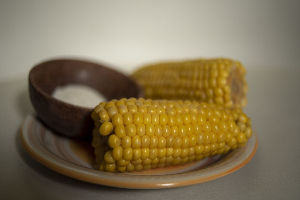 Photograph by Лукашина Елена