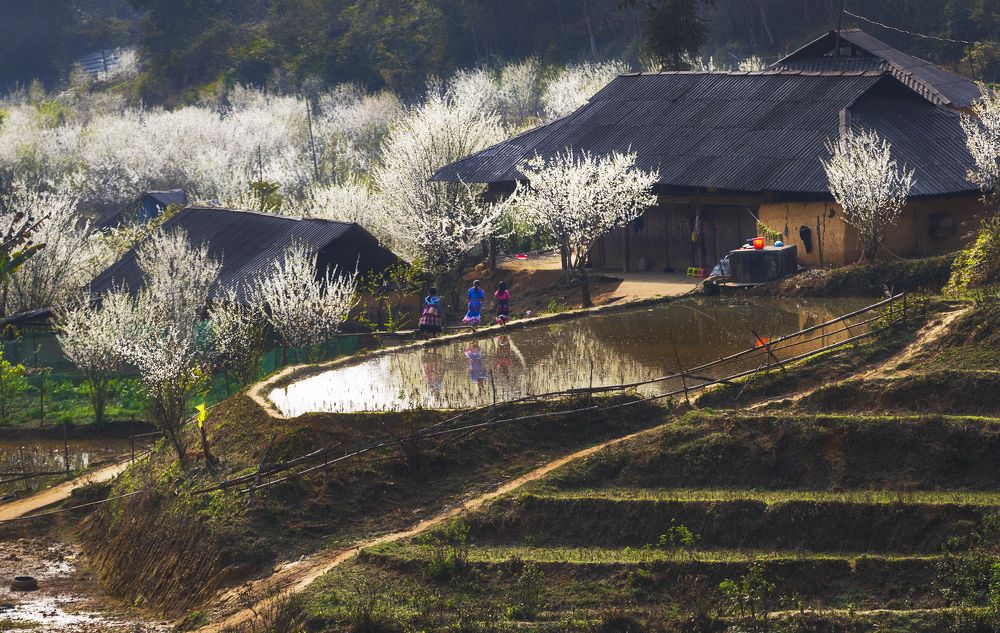 Photograph by Nguyễn Ngọc Tuấn