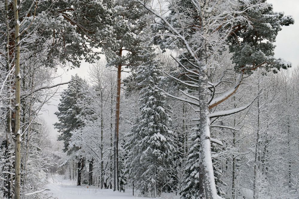 Photograph by Кан Галина