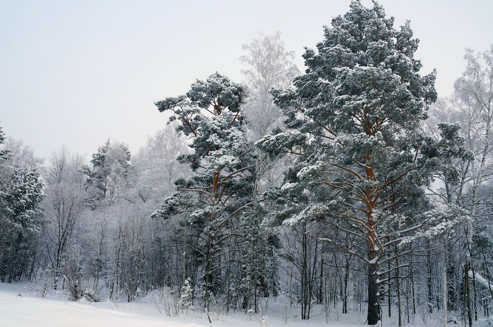 Photograph by Кан Галина