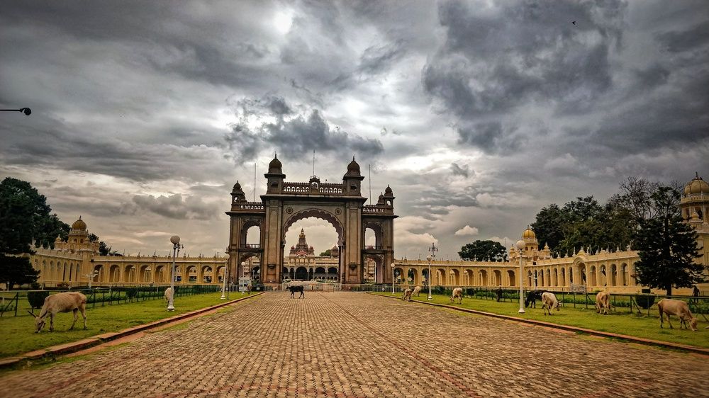 Photograph by Gibin George