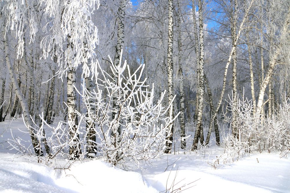 Photograph by Кан Галина