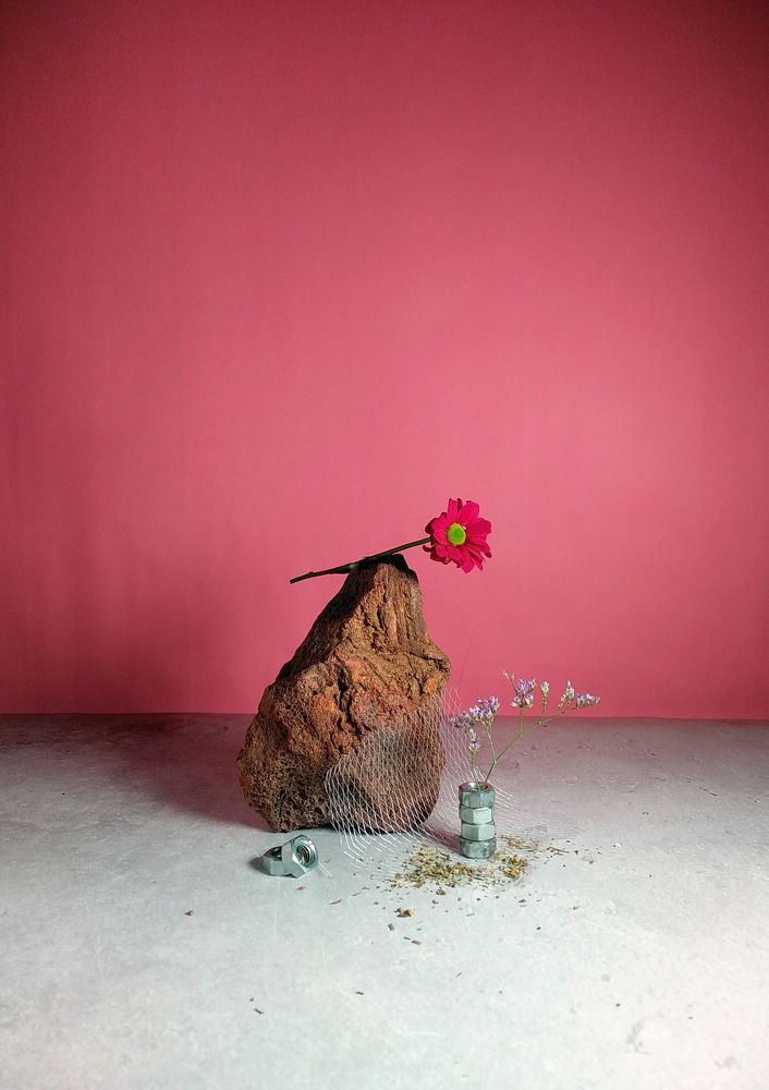 Photograph by Альбина