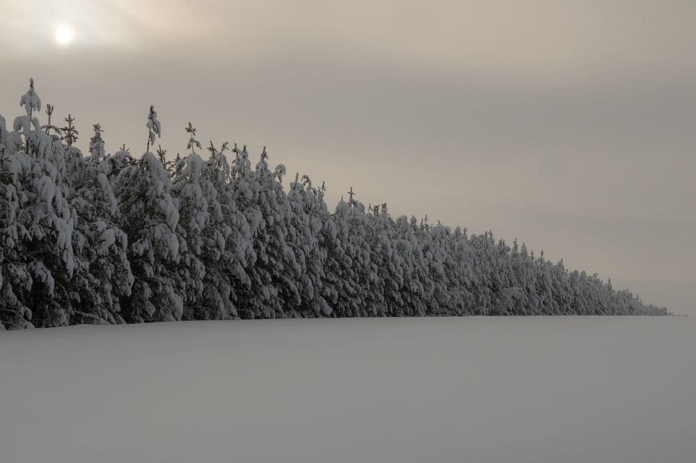 Photograph by Михаил Марсаков