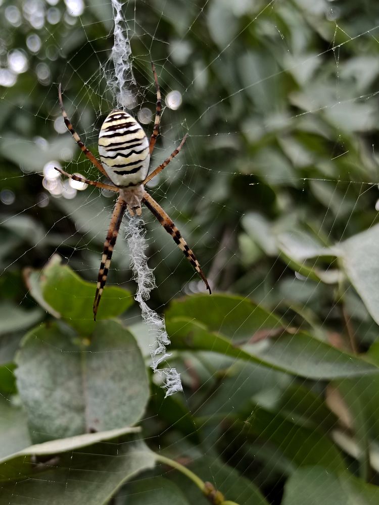 Photograph by Ирина Дегтярева