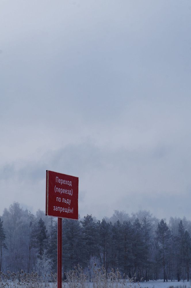 Photograph by Анастасия Шайдорова