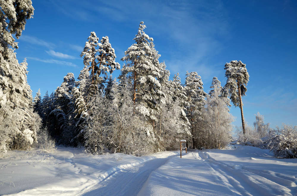 Фотография автора Сергей Расторгуев