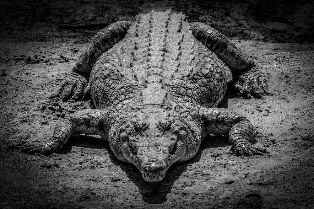 Photograph by Carmelo Stagnetta