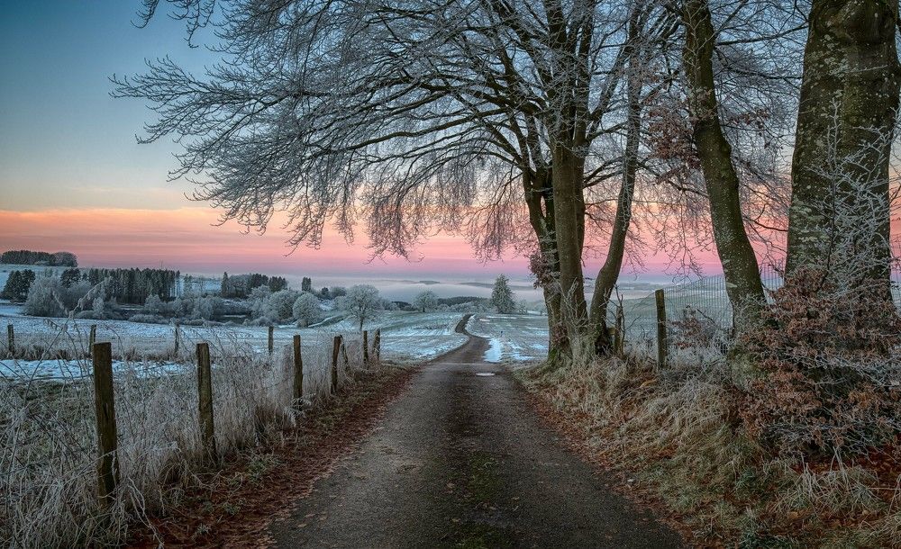 Photograph by Guy Krier