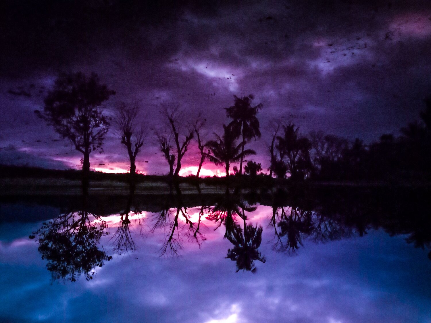 Purple Sunset
