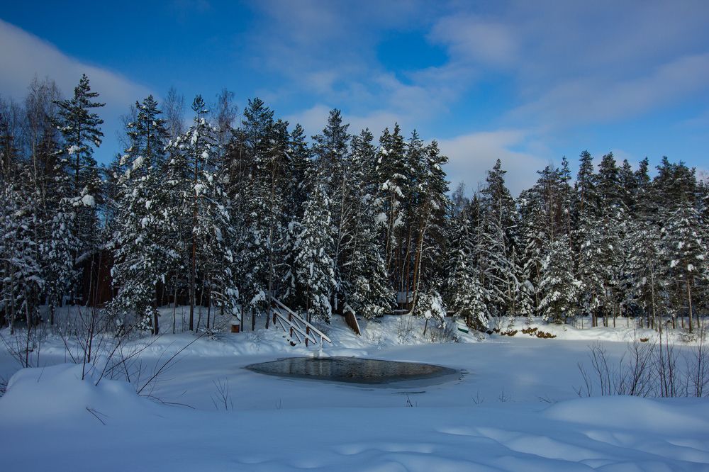 Photograph by Ekaterina Narozhnova