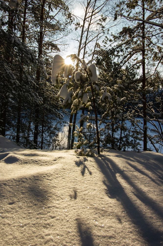 Photograph by Ekaterina Narozhnova