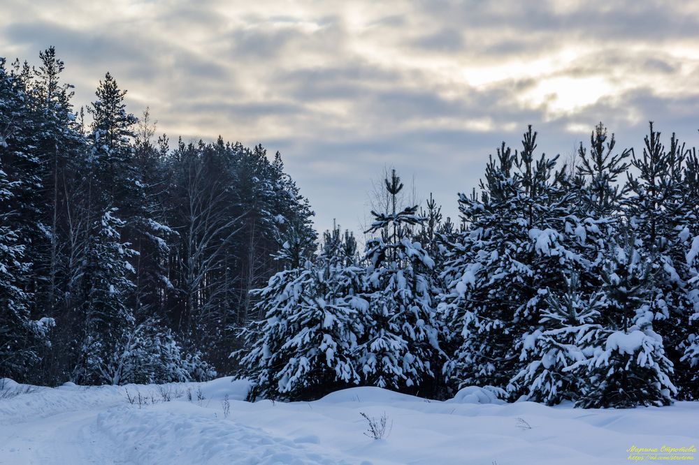 Photograph by Марина Стротова