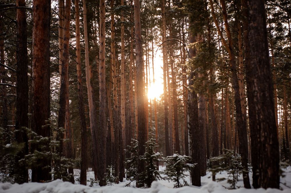 Photograph by Екатерина Оспанова