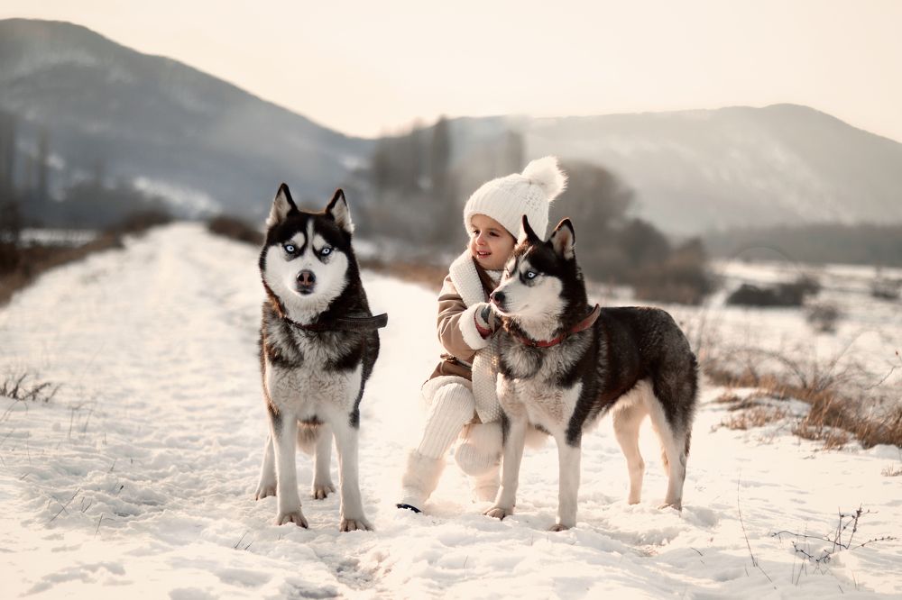 Photograph by Олеся Бучацька