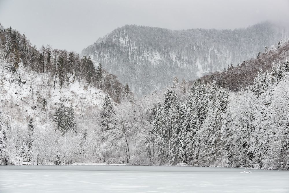 Белое безмолвие