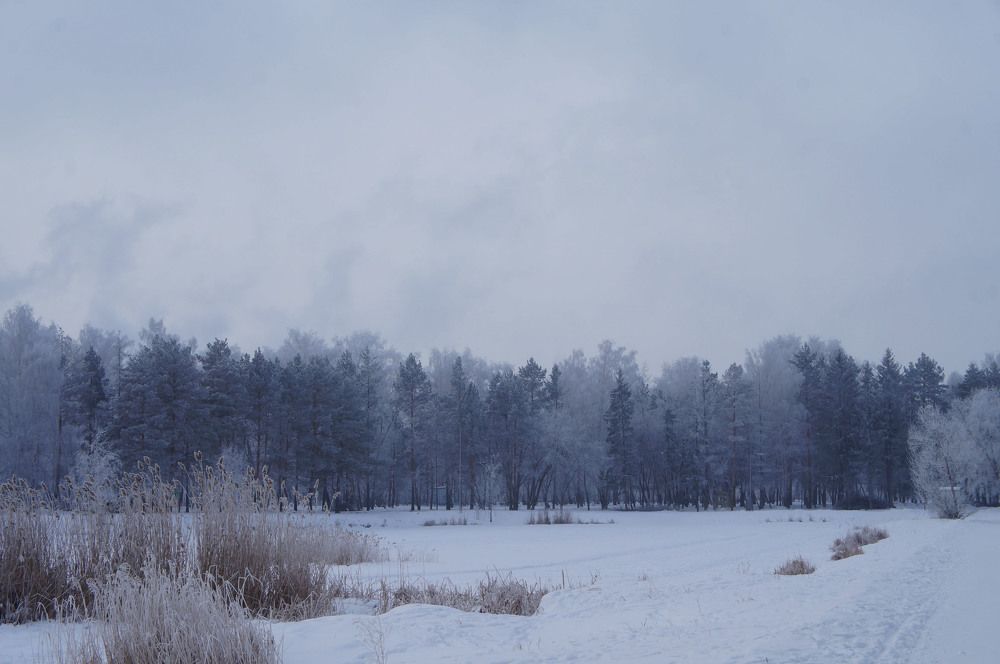 Photograph by Анастасия Шайдорова