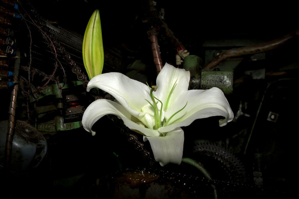 Photograph by Alexandros Emmanouilidis