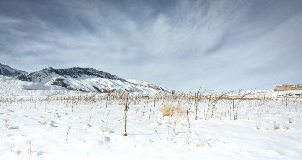 Photograph by Emil Karameti