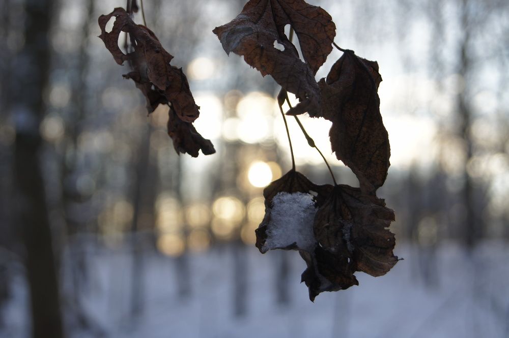 Photograph by Оксана Пешкова