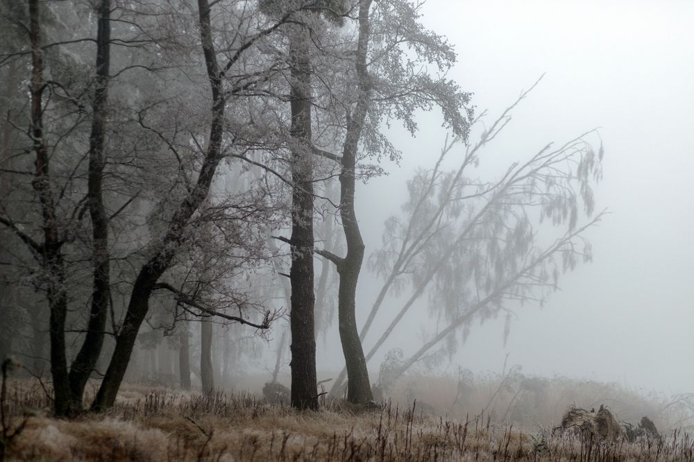 Photograph by Rolandas Valančauskas