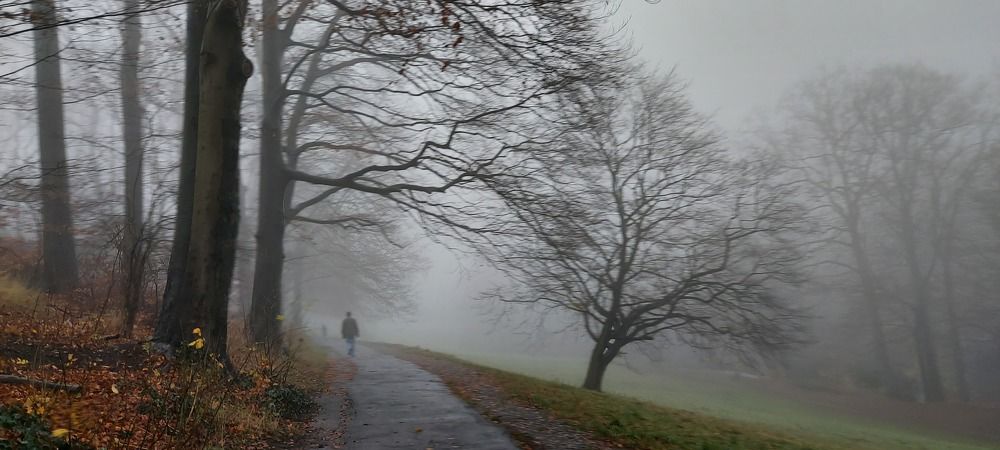 Photograph by Saime Şahin