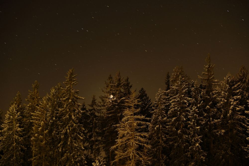 Photograph by Ирина