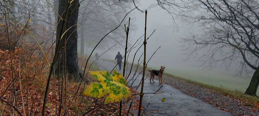 Photograph by Saime Şahin