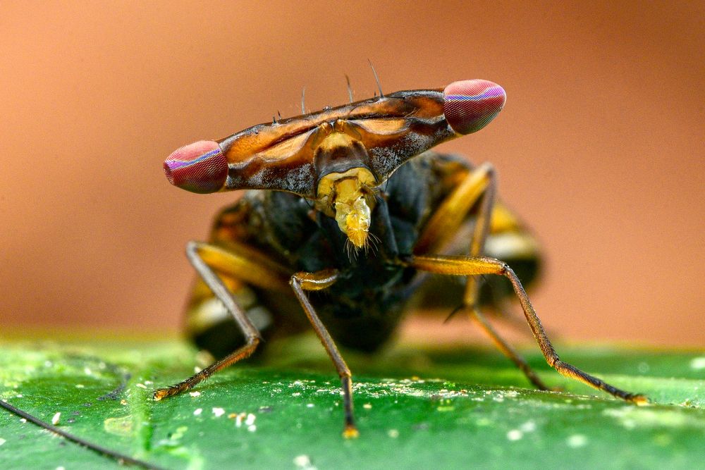 Photograph by KAIYEN LEE