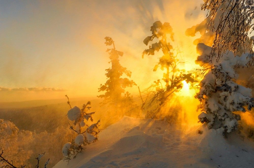 Фотография автора Михаил Кузнецов