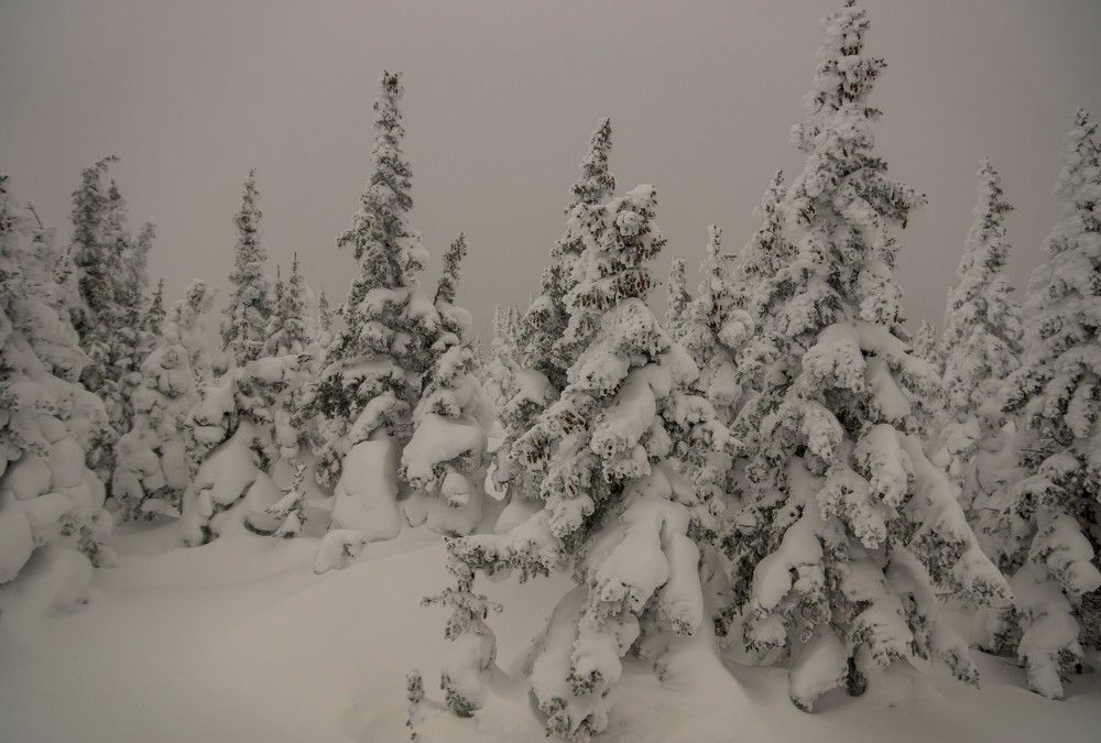 Фотография автора Михаил Кузнецов