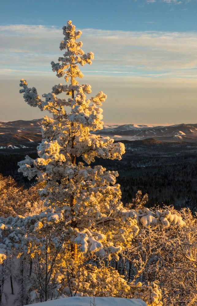 Фотография автора Михаил Кузнецов