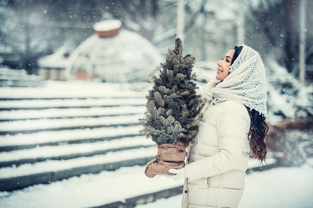 Photograph by Галина Ледок