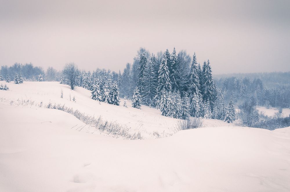 Photograph by Надежда Колеватова