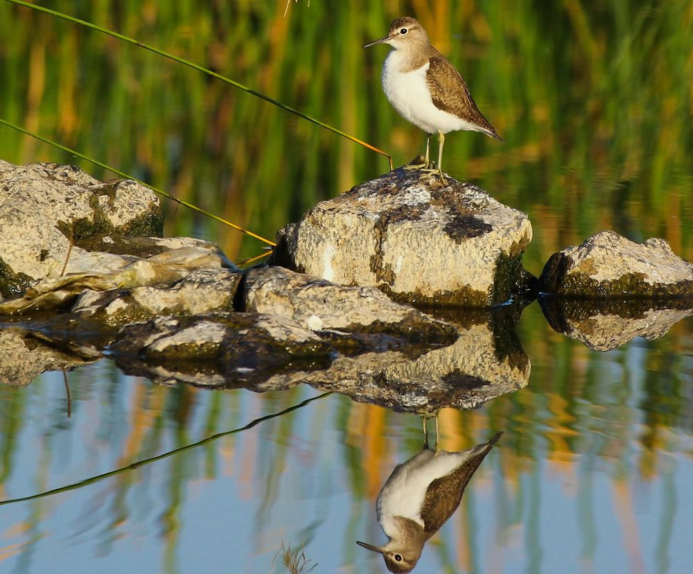 Photograph by Chintan Vyas