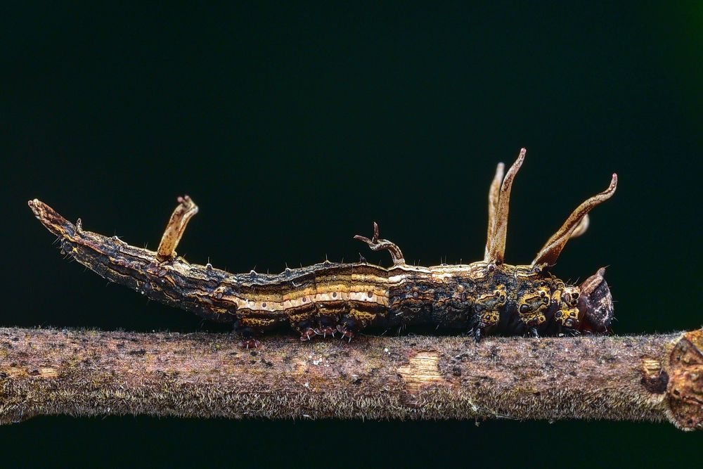 Photograph by KAIYEN LEE