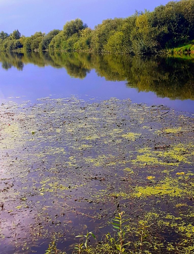 Photograph by Ламейко Светлана