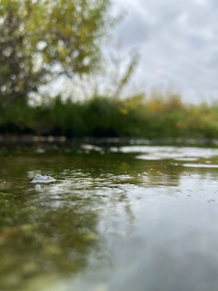 Photograph by Наталья