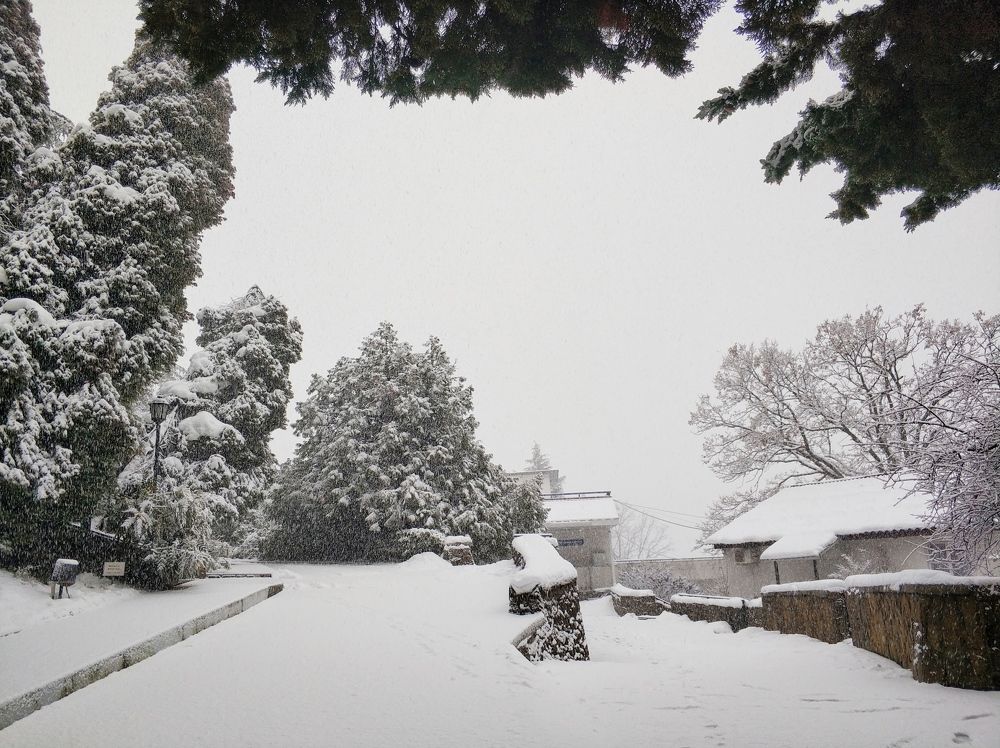 Photograph by Николай Ковальчук