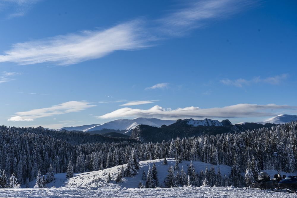 Photograph by Гаврилова Оксана