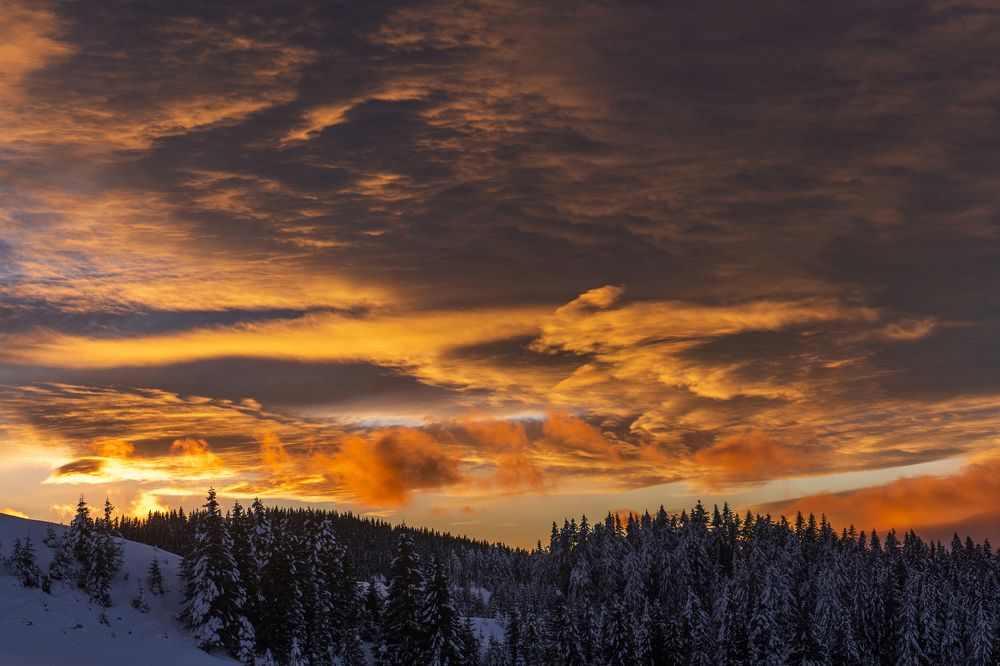 Photograph by Гаврилова Оксана