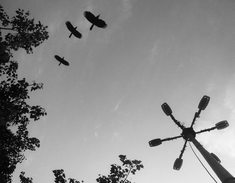 Photograph by Subrat Arya