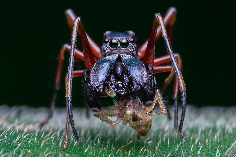 Photograph by Protik Chowdhury