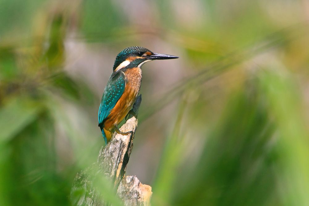 Photograph by Оксана Маховская