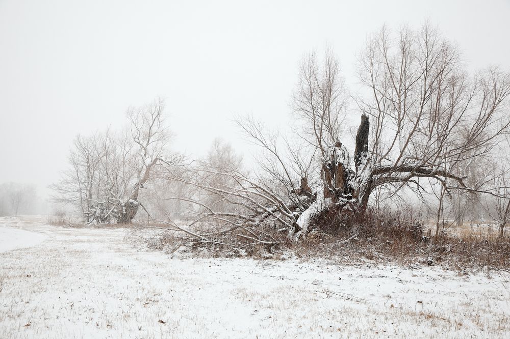 Photograph by Андрей Ларионов