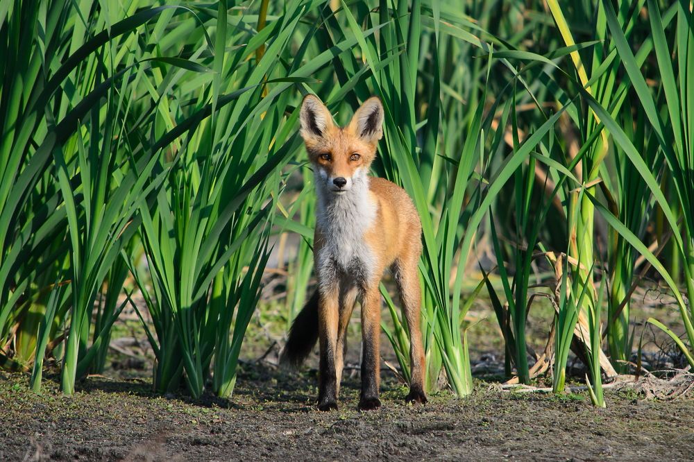 Photograph by Оксана Маховская