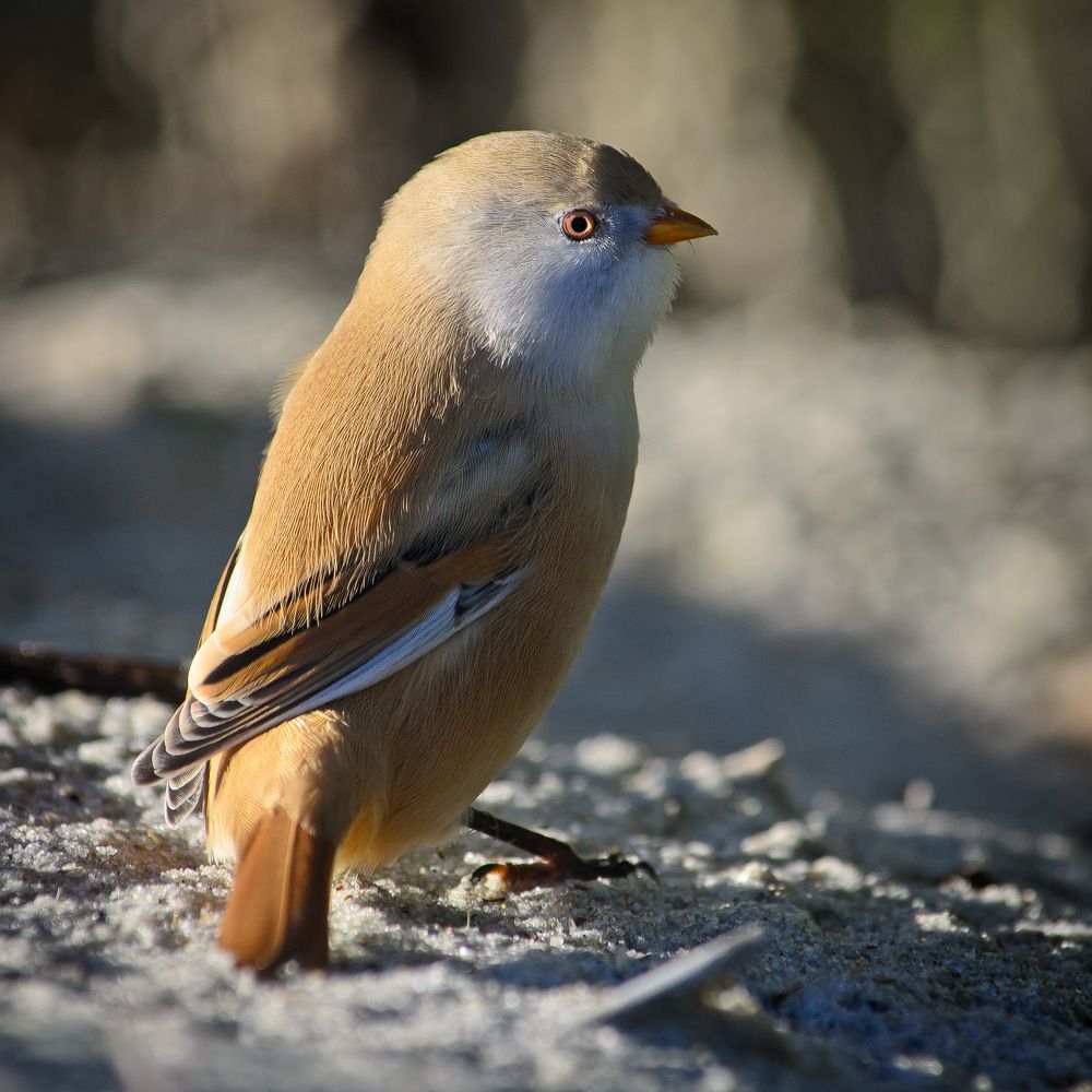 Photograph by Оксана Маховская
