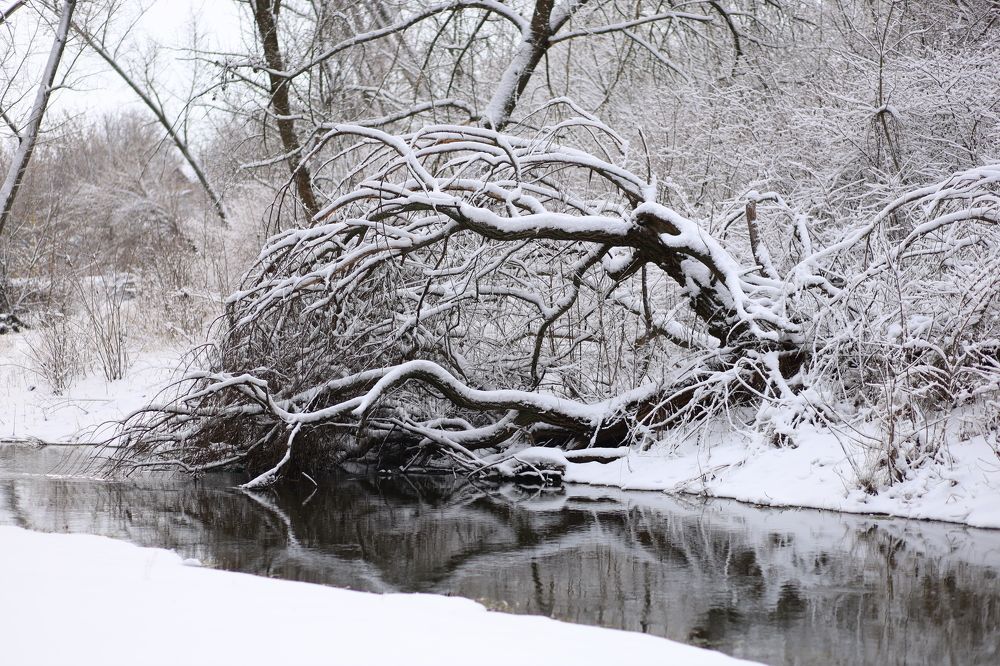 Photograph by Людмила Колесниченко