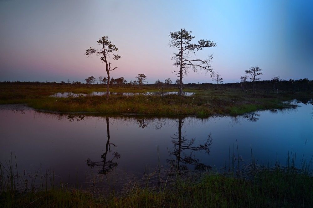 Photograph by Ija Reiman