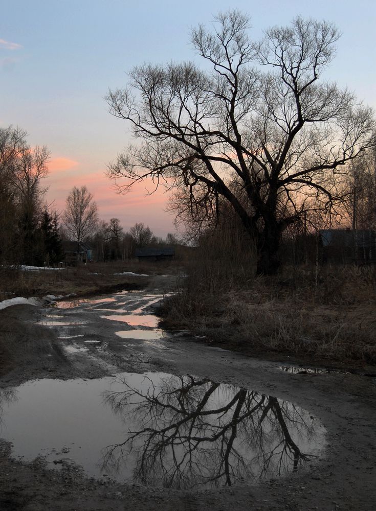 Photograph by Майя Синичкина